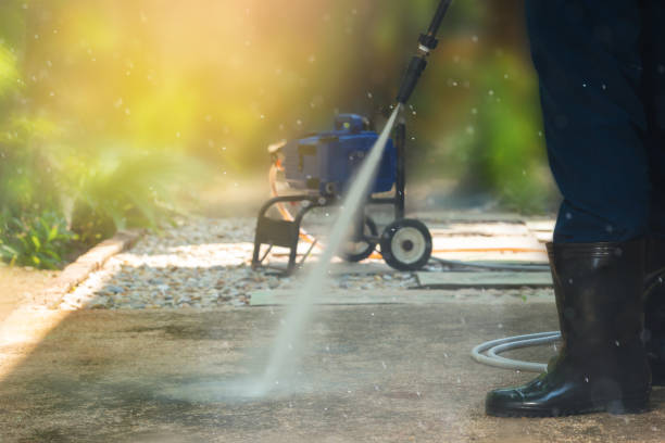 Best Sidewalk and Walkway Cleaning  in Waverly, TN